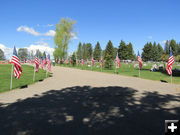 Row of Flags. Photo by Dawn Ballou, Pinedale Online.