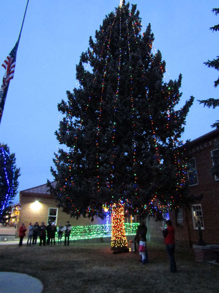 Tree lighting. Photo by Dawn Ballou, Pinedale Online.