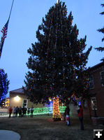 Tree lighting. Photo by Dawn Ballou, Pinedale Online.
