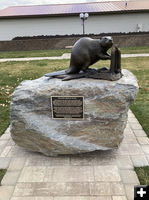 Beaver sculpture. Photo by Dawn Ballou, Pinedale Online.
