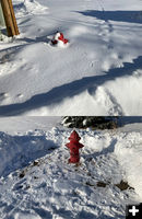 Pinedale fire hydrants. Photo by Pinedale Online.
