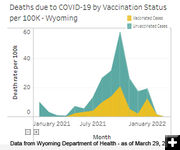 COVID-19 deaths. Photo by Wyoming Department of Health.