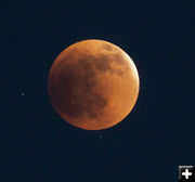 Lunar Eclipse. Photo by David Rule.