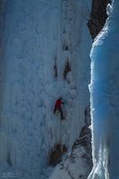 Ice Climber. Photo by Dave Bell.