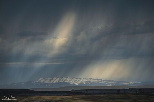 Through The Rain Curtain. Photo by Dave Bell.