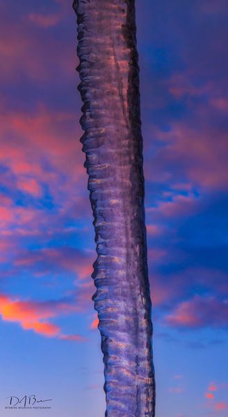Icicle Glow. Photo by Dave Bell.