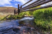 Beautiful Stream At Yellowstone Institute. Photo by Dave Bell.