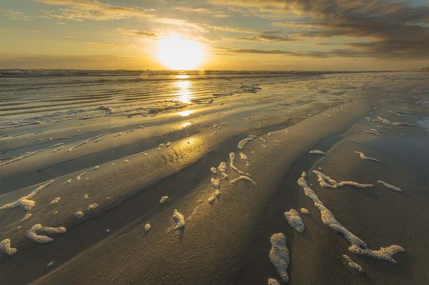 Morning Sand Patterns. Photo by Dave Bell.