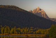 Grand Teton At OxBow. Photo by Dave Bell.