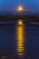 7 Mile Moon Rise. Photo by Dave Bell.