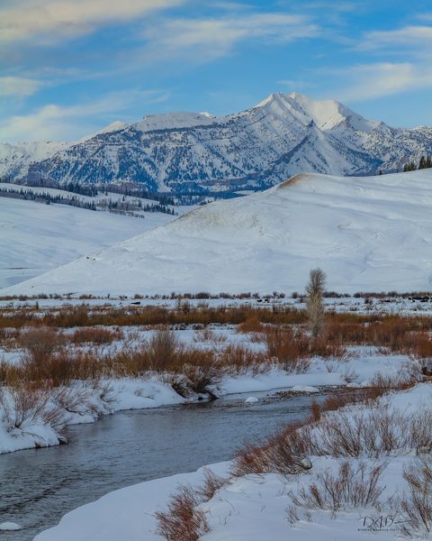 Hoback River. Photo by Dave Bell.