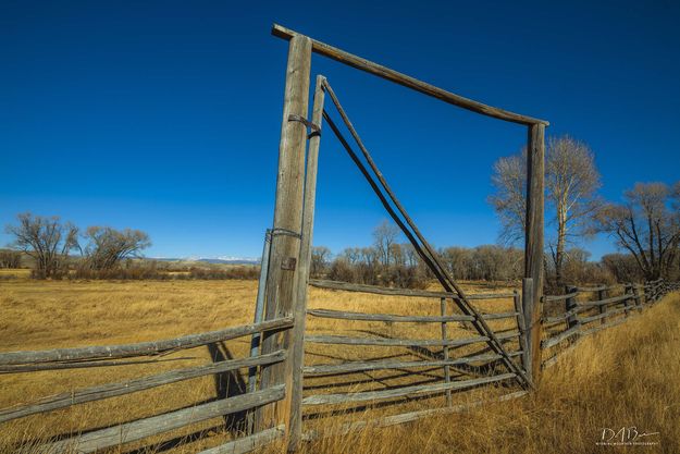 Old Ranch Gate. Photo by Dave Bell.