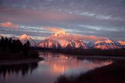 Mt. Moran Pink. Photo by Dave Bell.