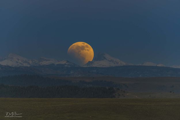 Eclipsing Moon Rise. Photo by Dave Bell.