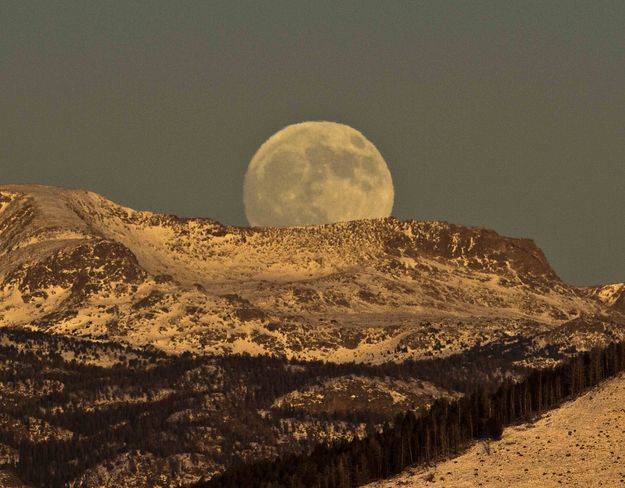 Moon Rise. Photo by Dave Bell.
