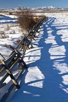 Fence Line Shadows. Photo by Dave Bell.
