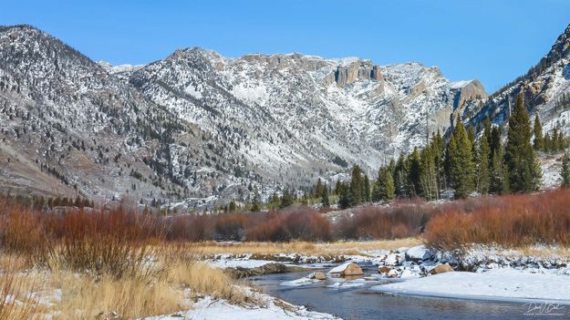 Top That!. Photo by Dave Bell.