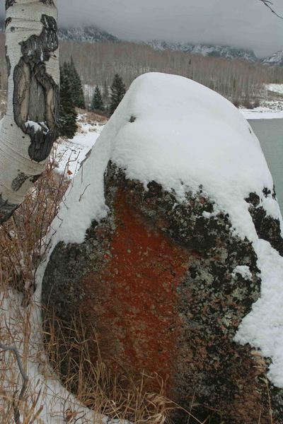 Lichen Stained Snowy Boulder. Photo by Dave Bell.