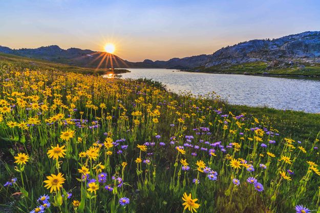 Flower Full Sunset At No Name Lake. Photo by Dave Bell.