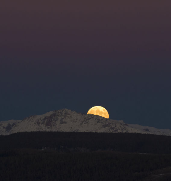 Alpenglow Moon. Photo by Dave Bell.