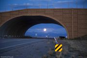 Mooning The Arch. Photo by Dave Bell.