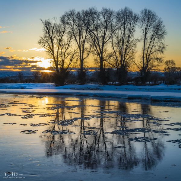 Icy Sunrise Waters. Photo by Dave Bell.