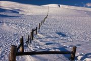 Dell Creek Fence Line. Photo by Dave Bell.