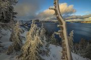 Crater Lake Beauty. Photo by Dave Bell.