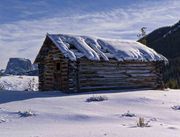 Old Cabin. Photo by Dave Bell.
