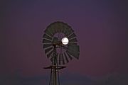 Windmill Moon. Photo by Dave Bell.