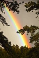 Pot-O-Gold Rainbow. Photo by Dave Bell.