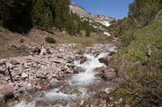 North Fork Of The South Fork of South Cottonwood Creek. Photo by Dave Bell.