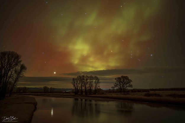 . Photo by Dave Bell.