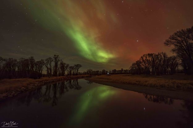 . Photo by Dave Bell.