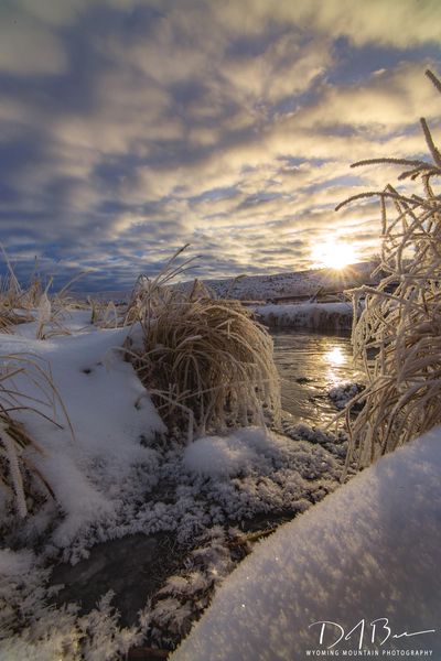Winter. Photo by Dave Bell.