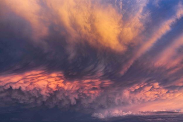 Wild Cloud. Photo by Dave Bell.
