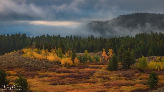 Fall In The Mountains. Photo by Dave Bell.