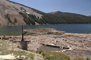 Still Floating Results Or Middle Piney Lake Landslide In May. Photo by Dave Bell.