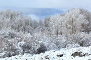 4/12/2012 - Fresh Spring Snowfall. Photo by Fred Pflughoft.