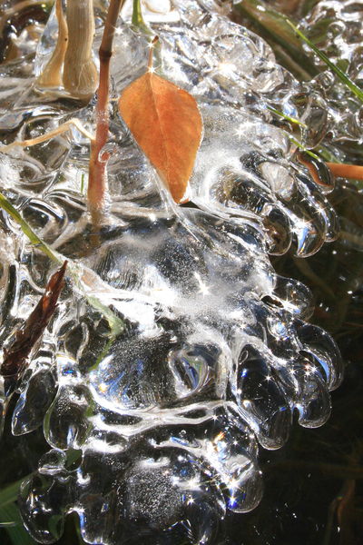 11/6/2008 - Ice Claws. Photo by Fred Pflughoft.