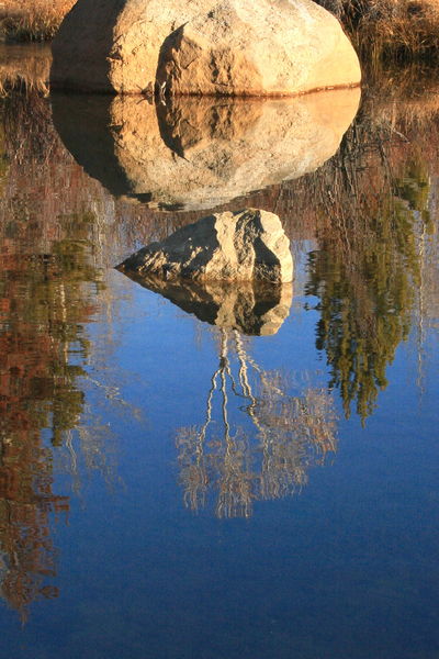 11/11/2008 - Surrealism at Beaver Pond. Photo by Fred Pflughoft.