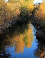 10/1/2011 - Highland Ditch Monet. Photo by Fred Pflughoft.