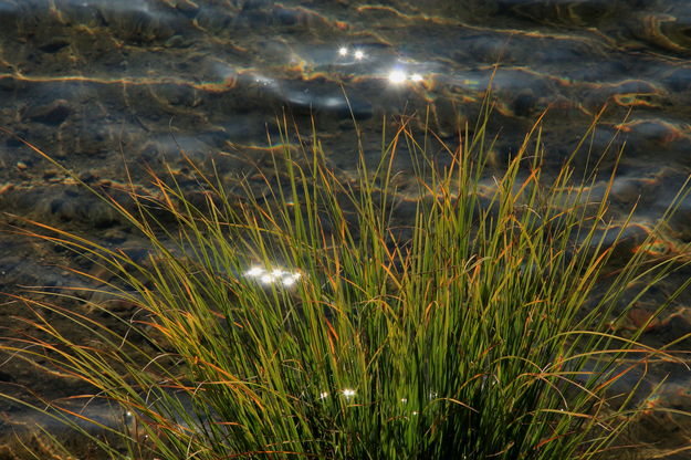 9/16/2012 - Sparklin' Water. Photo by Fred Pflughoft.