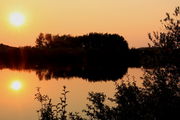 8/12/2012 - Fish Pond Sunset. Photo by Fred Pflughoft.
