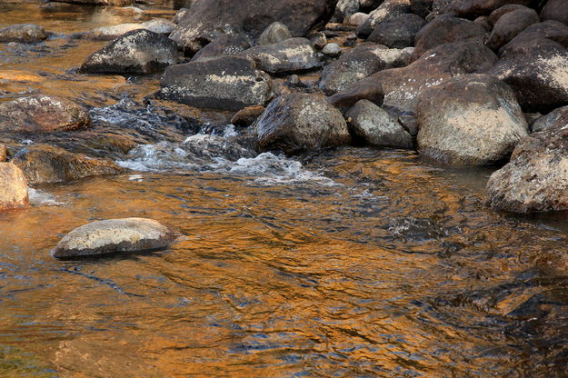 Boulder Creek Reflecting Colors. Photo by Fred Pflughoft.