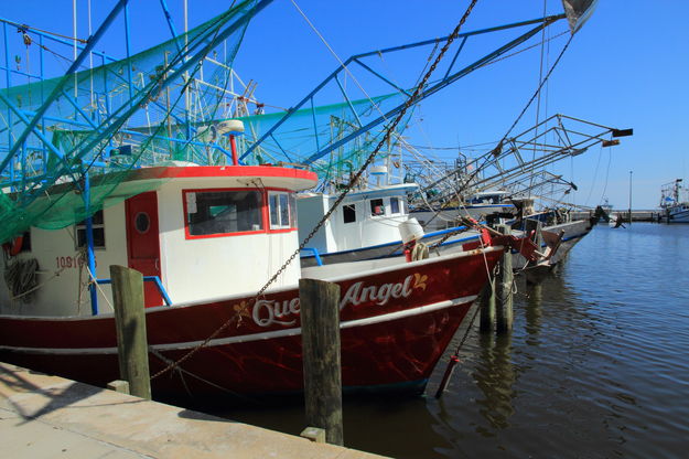 Shrimp Boats - Biloxi, Mississippi. Photo by Fred Pflughoft.