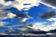I've looked at clouds from both sides now, but still somehow.... Photo by Fred Pflughoft.
