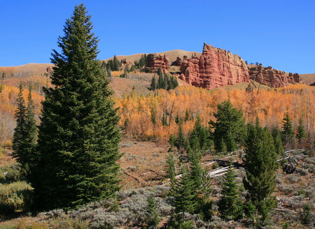 Fall colors beneath Red Cliffs. Photo by Fred Pflughoft.