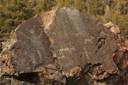 Petroglyphs at Picture Rock Pass Near Summer Lake, Oregon. Photo by Fred Pflughoft.
