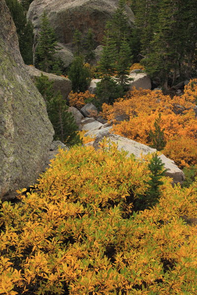 Fall Colors near North Lake. Photo by Fred Pflughoft.